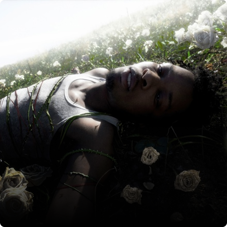 withered-cover.a1dd8225.png